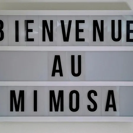 Mimosa-200m Plage-4minpalais-verriere Cote D'azur *